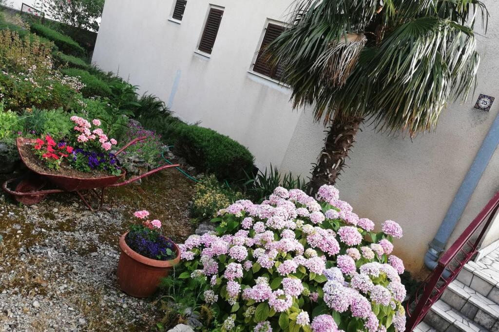 Spacious 2-Room Apartment With Beautiful Sea View Цриквеница Экстерьер фото